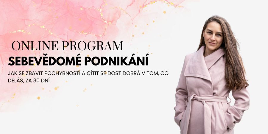 Sebevědomé podnikání. Jak se zbavit pochybostí a cítit se dost dobrá v tom, co děláš, za 30 dní. Sebevědomé podnikání. Jak se zbavit pochybostí a cítit se dost dobrá v tom, co děláš, za 30 dní.